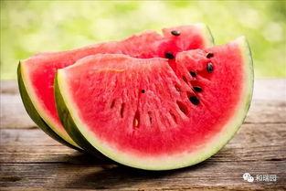 吃瓜糖分高吗,高糖还是低糖，你了解多少？