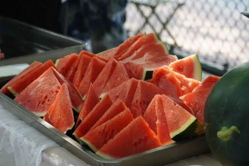 江西航空职业吃瓜,揭秘幕后吃瓜风云