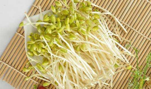 蚂蚁和豆芽吃瓜,蚂蚁与豆芽的瓜田奇遇记