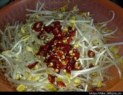 蚂蚁和豆芽吃瓜,蚂蚁与豆芽的瓜田奇遇记