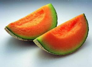 吃哈密瓜的僵尸食客,僵尸食客的疯狂美食之旅