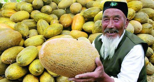 吃哈密瓜的僵尸食客,僵尸食客的疯狂美食之旅
