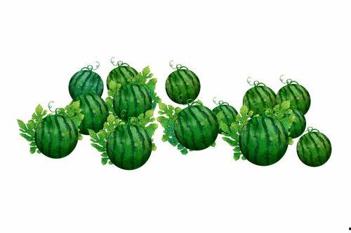 吃瓜阿棠,揭秘娱乐圈背后的那些事儿