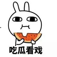 带你吃瓜解说作业,揭秘作业背后的趣味与智慧