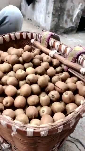 什么野生瓜可以吃,探寻可食野生瓜果的天然美味之旅