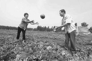 商水县吃瓜,瓜果飘香，品味乡愁