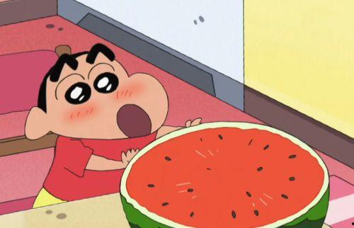 吃瓜的胖人吗,探寻美食与健康的平衡之道