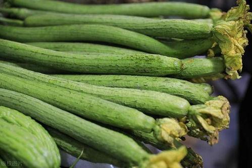 吃瓜丝瓜茄子,吃瓜、丝瓜、茄子，美味与营养共存