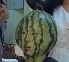 荷兰留学圈吃瓜,揭秘那些“吃瓜”背后的留学故事