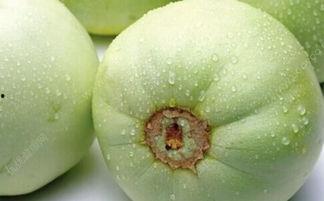 吃瓜 糖尿病,揭秘日常饮食中的甜蜜陷阱