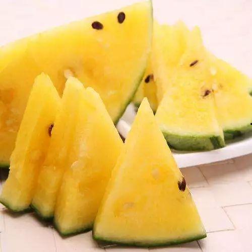 小瓜带你吃瓜,尽享人间烟火气