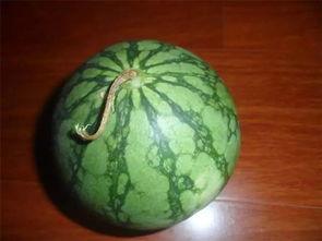 吃瓜必看内部揭秘