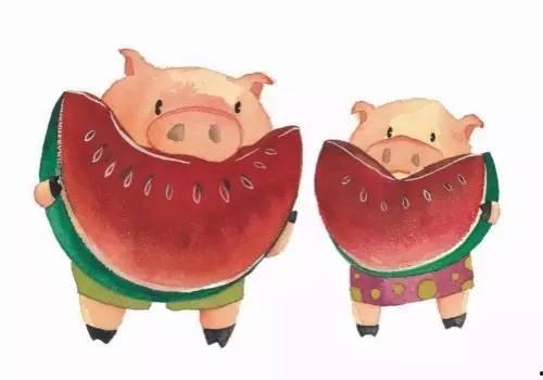 吃猪瓜视频,揭秘猪的生活与美食文化