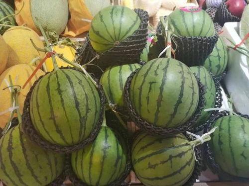 流月吃瓜后续,揭秘娱乐圈背后的秘密与真相