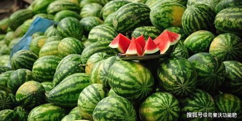 小蓝蓝Plus有瓜吃吗,揭秘瓜果盛宴背后的故事