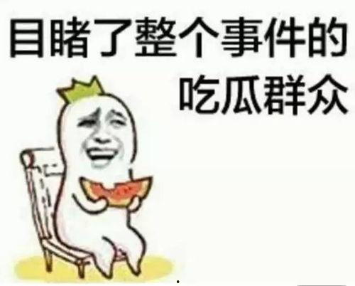 金晨前排吃瓜,揭秘娱乐圈幕后故事
