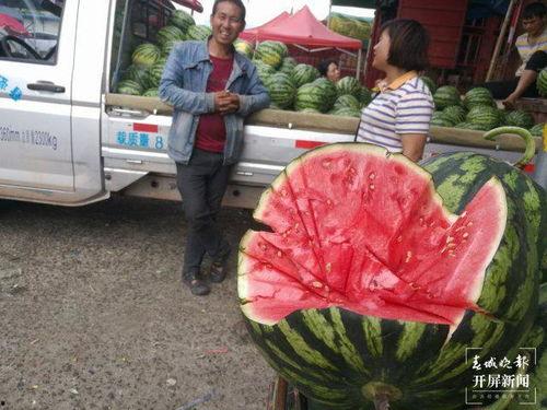 马坊吃瓜群众事迹,见证时代变迁的民间观察者