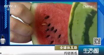 吃瓜不吐香蕉皮,揭秘网络热词背后的趣味与智慧