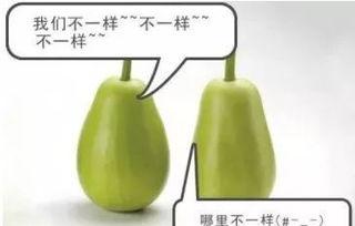 吃瓜不吐香蕉皮,揭秘网络热词背后的趣味与智慧