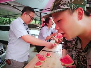 吃瓜群444394,一场全民参与的娱乐盛宴