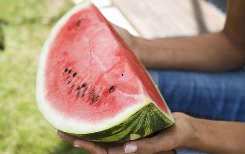 苏米edlynne吃瓜,揭秘娱乐圈幕后故事