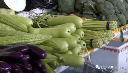 家种绞瓜怎么吃,家常种植绞瓜的美味探索