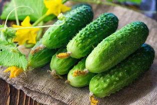 家种绞瓜怎么吃,家常种植绞瓜的美味探索