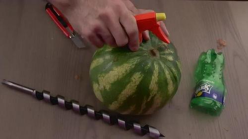 老外吃老瓜吗,老外品尝中国老瓜的独特风味体验