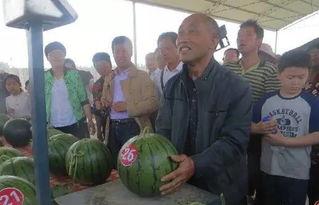 赵河吃瓜群众,揭秘网络热议背后的真相