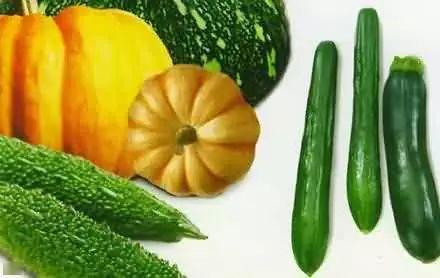 吃瓜双井,一场美食与文化的盛宴