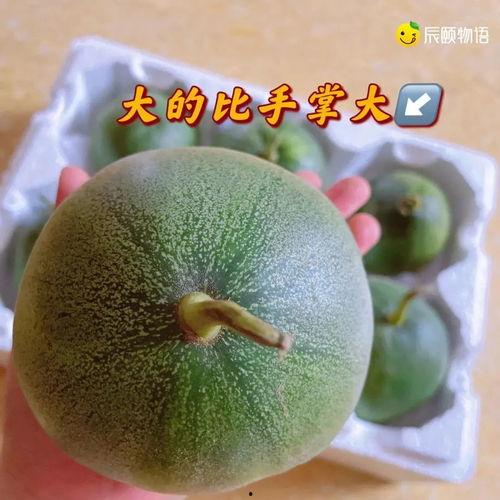 辰辰吃瓜趣事,揭秘娱乐圈幕后花絮