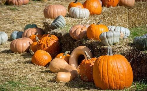 洗衣服吃瓜,轻松享受生活乐趣