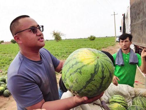 洗衣服吃瓜,轻松享受生活乐趣