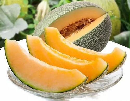 瓜州吃瓜都在哪里吃,探寻当地独特的“吃瓜”文化聚集地