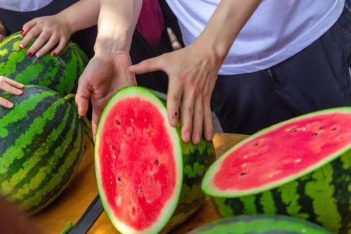 学校吃瓜了,揭秘“学校吃瓜”背后的故事