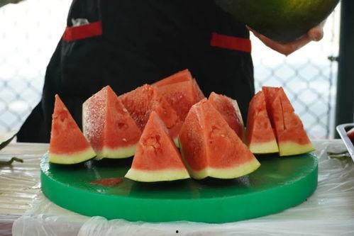 学校吃瓜了,揭秘“学校吃瓜”背后的故事