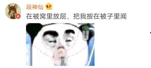 对象现场吃瓜,揭秘瓜界风云