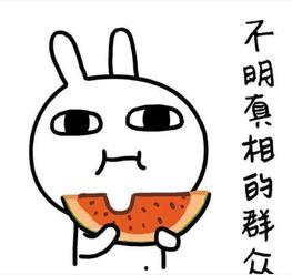 贵圈吃瓜的幽默句子,瓜田李下，笑料连连