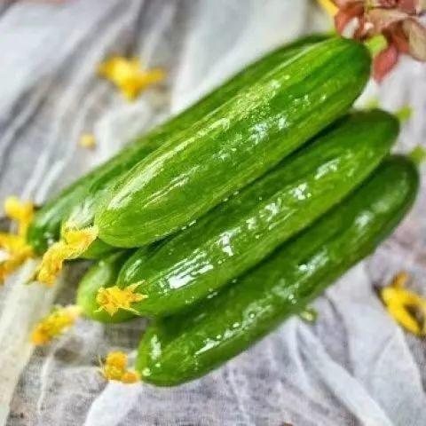 早瓜什么季节吃