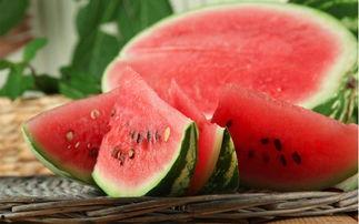 籽瓜不能和什么一起吃,揭秘哪些食材不宜同食