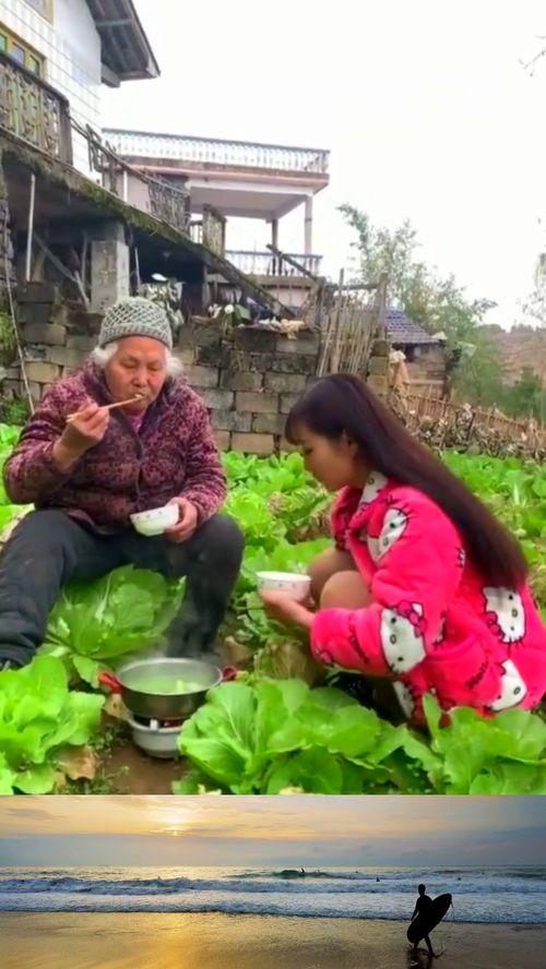 重生农村下乡吃瓜,下乡吃瓜，体验田园生活新篇章