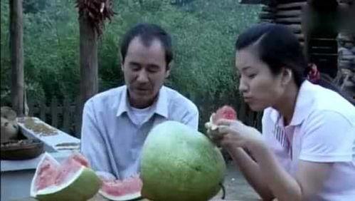 重生农村下乡吃瓜,下乡吃瓜，体验田园生活新篇章