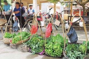 出门摆摊吃瓜视频,一探究竟的摆摊吃瓜视频
