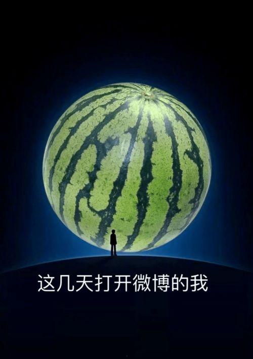 吃瓜更养瓜微博,趣味生活新风尚——揭秘“吃瓜更养瓜”微博现象”