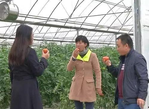 吃瓜与围观群众,揭秘网络围观现象背后的心理奥秘