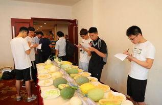 吃瓜与围观群众,揭秘网络围观现象背后的心理奥秘