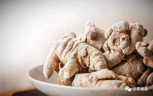 吃土瓜可以吃三七吗女生,女性养生新选择