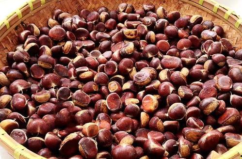 秋分几点吃瓜,揭秘最佳吃瓜时间