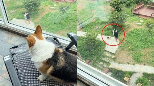 吃瓜情侣楼下吵架