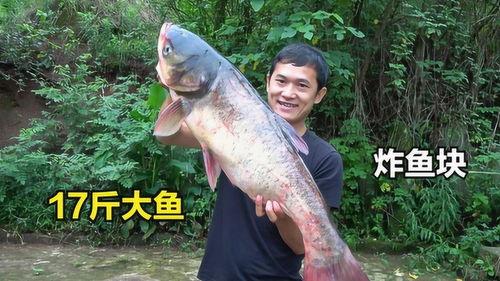 耙耳朵刘大瓜吃八瓜鱼,耙耳朵刘大瓜的八瓜鱼美食之旅